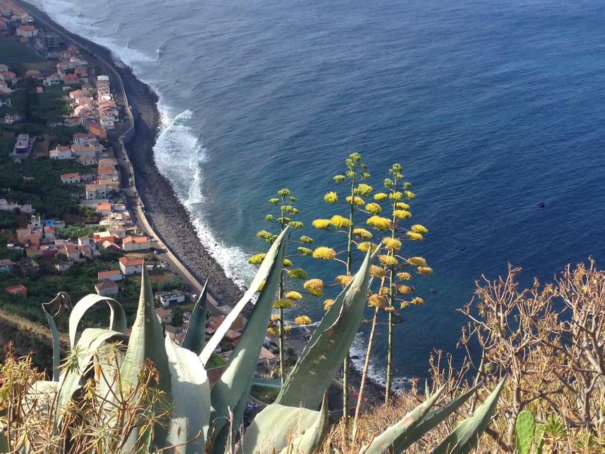 Madeira Wine Casa vacanze