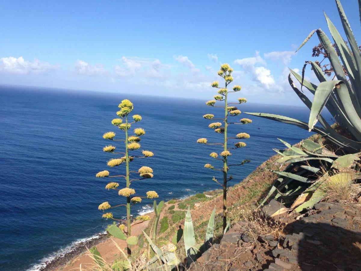 Madeira Wine *