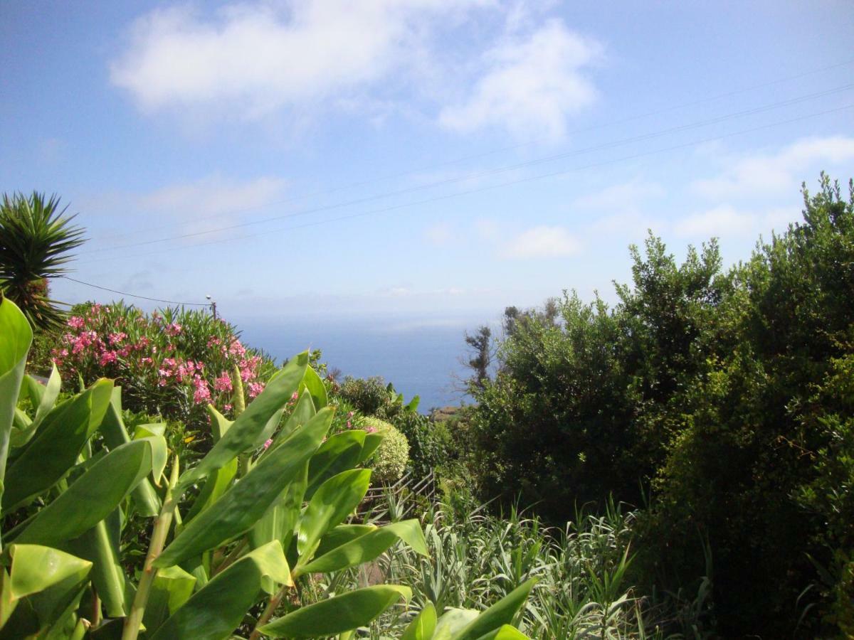 Madeira Wine