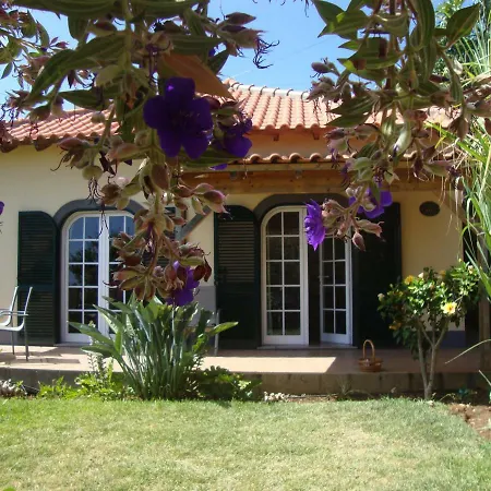 Blooming Botanic Houses Estreito Da Calheta Exterior photo