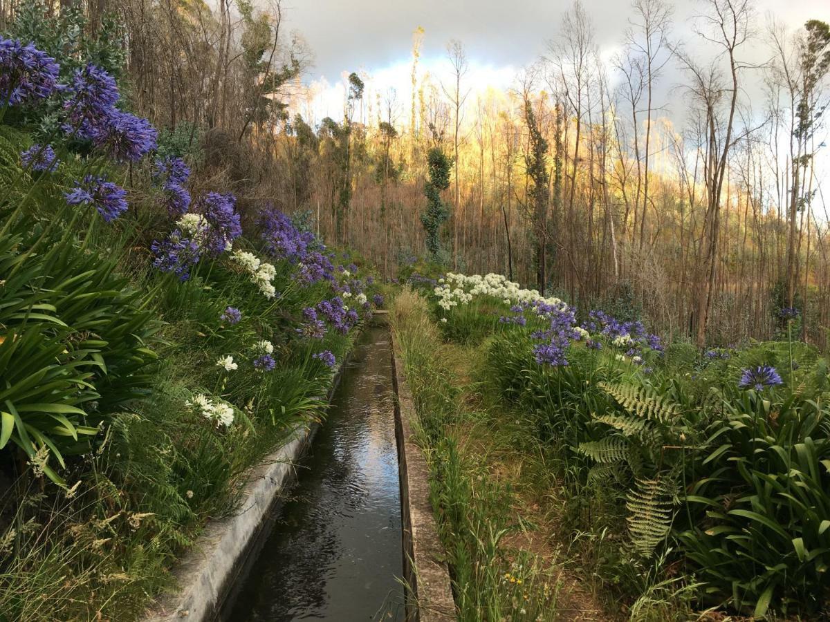 Blooming Botanic *